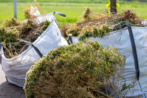 Professional Junk Removal in Wiggins, CO
